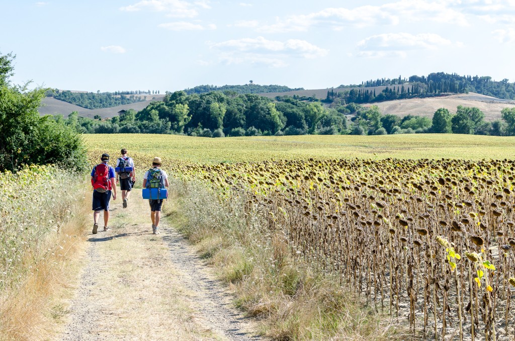 Via Francigena